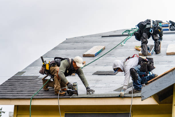 Professional Roof Replacement technician working in Harrison Township, MI